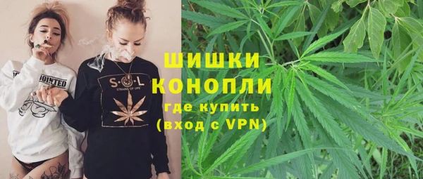 дмт Арсеньев