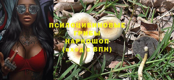 дмт Арсеньев