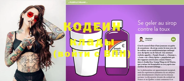 дмт Арсеньев